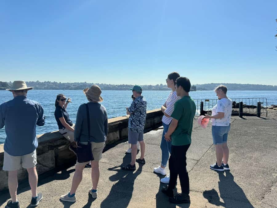 1/2 day Sydney Sightseeing and Bondi Beach Tour - Between stops on the mini-bus: how the pace really feels