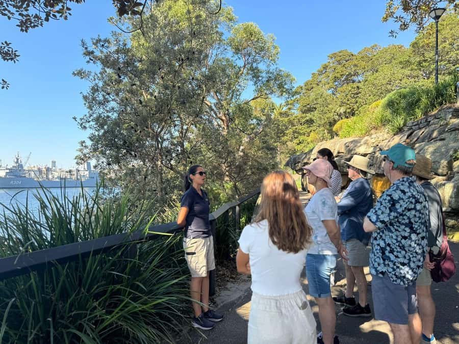 1/2 day Sydney Sightseeing and Bondi Beach Tour - Centennial Park and Paddington: a different side of Sydney