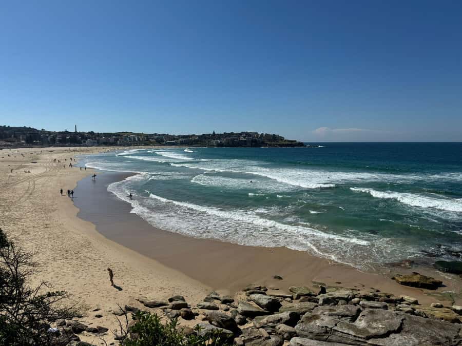 1/2 day Sydney Sightseeing and Bondi Beach Tour - Price and value: is $47 a good deal?