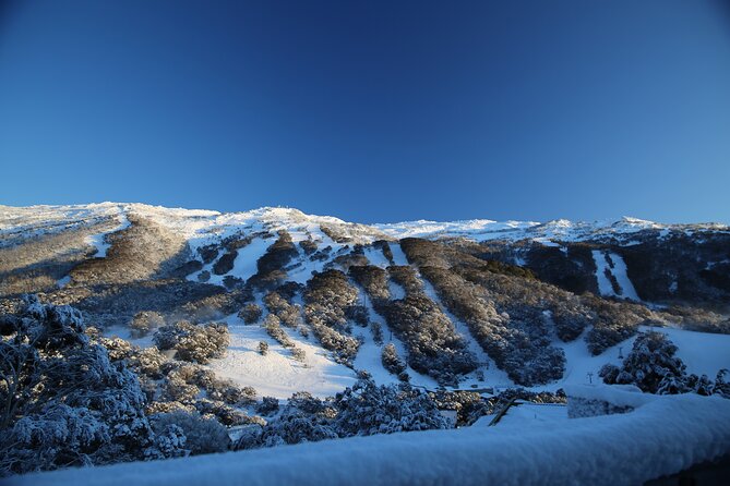 1 Day Thredbo Snow Tour - Thredbo Village and Ski Time: How to Spend Your 7 Hours