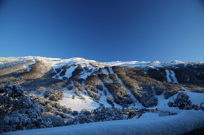 1 Day Thredbo Snow Tour - Comfort on the Road: Heated Coach Transport and Punctuality