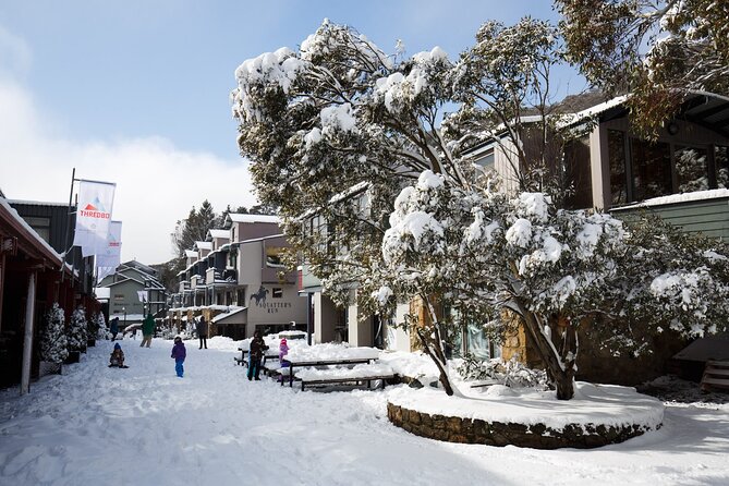 1 Day Thredbo Snow Tour From Sydney - Skiing and Snow Play: What You’re Really Paying For
