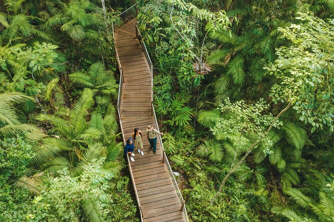 14 Day Tour from Sydney to Cairns Fraser Island and Whitsundays - Byron Bay Free Day: Beach Time, Shops, and Optional Surf or Kayak