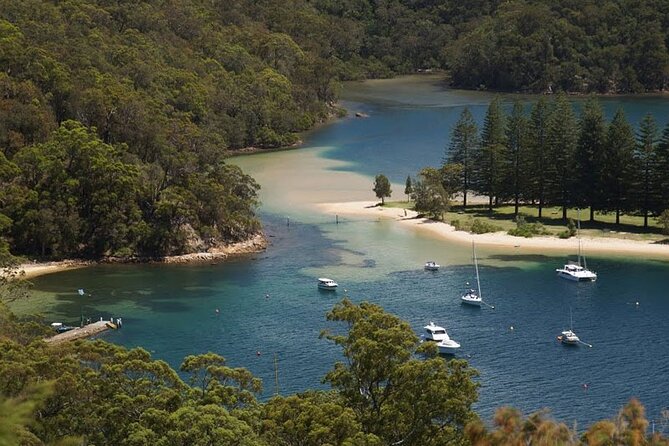 2 1/2 Hr Private Skippered Yacht Charter and Platter on Pittwater - The Basin campground: beach time plus wildlife sightings