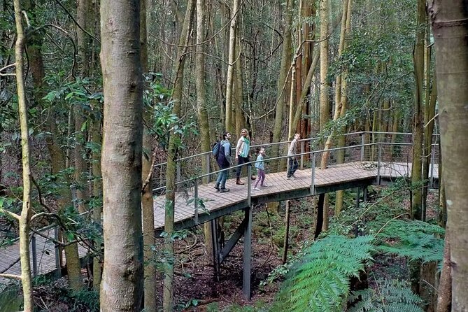 3 Day Private Tour in Blue Mountains and Kiama in Sydney City - Kiama Blowhole plus Fitzroy Falls and Kangaroo Valley