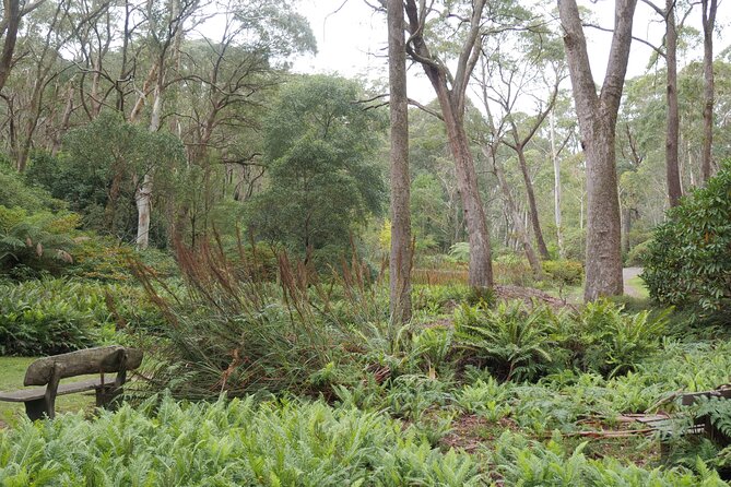 3 Day Scenic Tour of Blue Mountains from Sydney - Day 3: Govetts Leap, the Zig Zag Railway, Hartley Historic Village, and Mount Tomah gardens