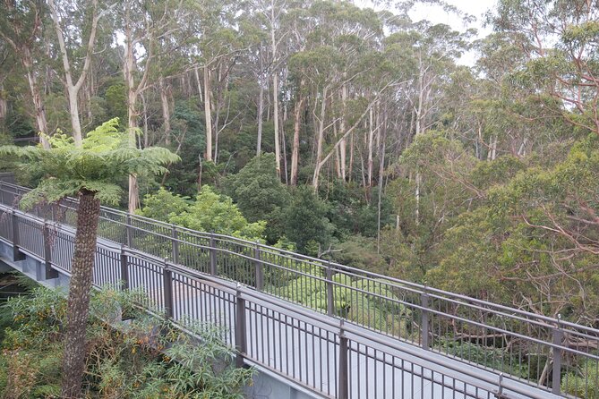 3 Day Scenic Tour of Blue Mountains from Sydney - Price and value: what you’re really paying for
