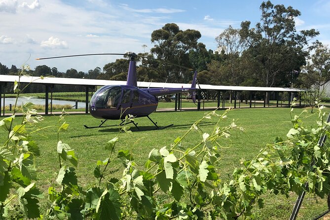 3 Hour Helicopter Wine Tasting Tour in Hunter Valley - Key Highlights I Think You’ll Feel Immediately