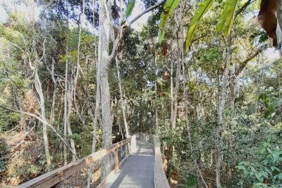 4-Day Private Coastal Escape from Sydney to Mid North Coast - Day 1: Wyong Stop, Nabiac Motorcycle Museum, Then Port Macquarie Check-In
