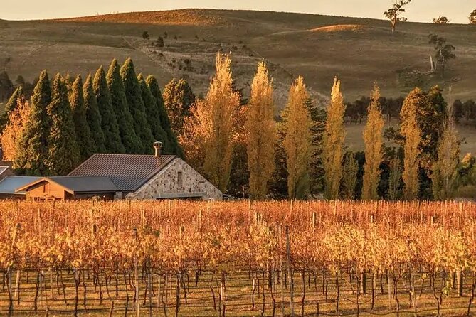 A Day In The Vineyards || Luxury Private Winery Tour From Sydney - Southern Highlands: the best kind of change from Sydney