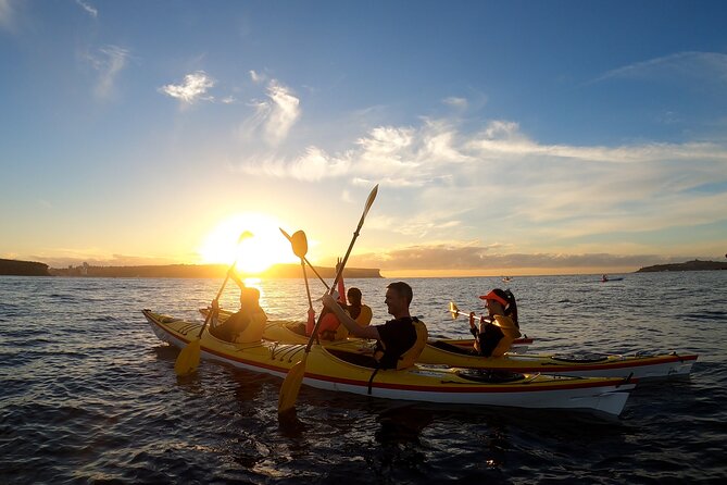 Beautiful Middle Harbour Sunriser / Guided Kayaking Private Tour - Key highlights (the parts that matter)