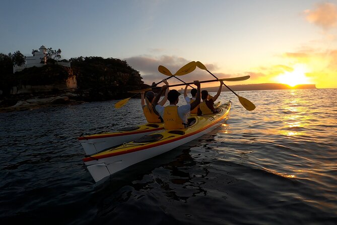 Beautiful Middle Harbour Sunriser / Guided Kayaking Private Tour - Why this sunrise tour feels different from a standard harbor outing