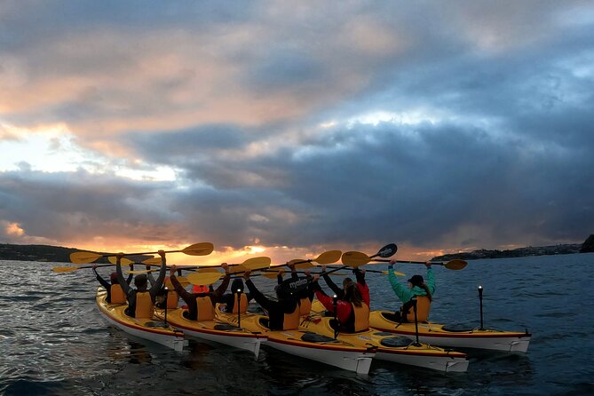 Beautiful Middle Harbour Sunriser / Guided Kayaking Private Tour - Private group size: how many people are really on your kayak route?