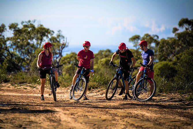 Blue Labyrinth PRIVATE Tour: Sydney Blue Mountains by E-Bike - Glenbrook Is the Smart Starting Point