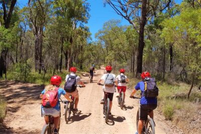 Blue Labyrinth PRIVATE Tour: Sydney Blue Mountains by E-Bike - Private E-Bike Touring With Bike Insurance