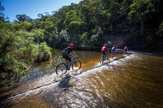 Blue Labyrinth PRIVATE Tour: Sydney Blue Mountains by E-Bike - Route Options That Actually Match Skill Level