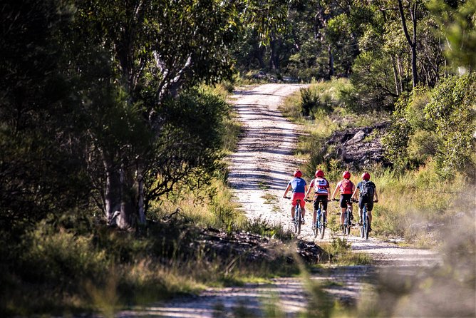 Blue Labyrinth PRIVATE Tour: Sydney Blue Mountains by E-Bike - Value: Is $268.97 Per Person Worth It?
