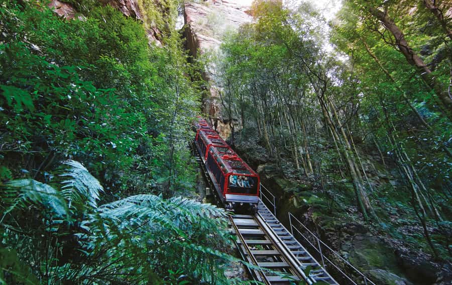 Blue Mountain Small Group Scenic World, Wildlife, Waterfall - Lunch at a Mountain Restaurant: Optional, Preselected, and Built Around Diets