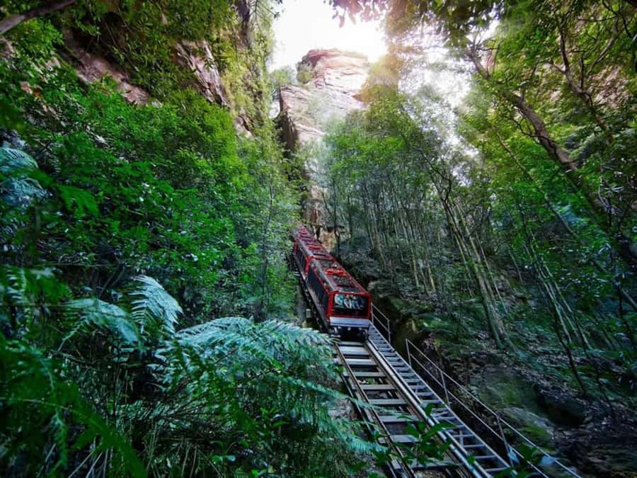 Blue Mountain Tour + Hop-on-Hop-off Big Bus Discover Ticket - Key things that make this tour work