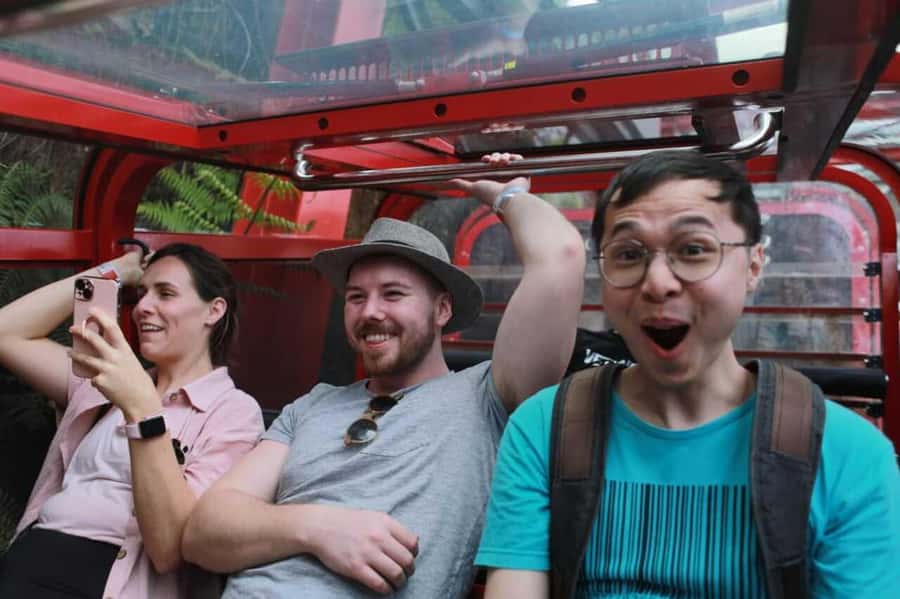 Blue Mountain Tour + Hop-on-Hop-off Big Bus Discover Ticket - Sydney Zoo stop: Koala Trail and kangaroo feeding photo moments