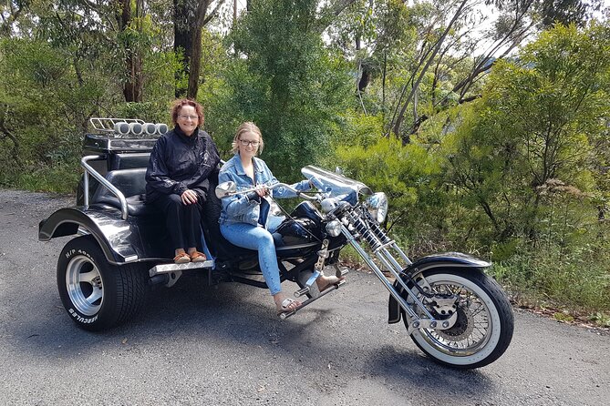 Blue Mountains 1-Hour Trike Tour of Three Sisters - The guide factor: why private attention matters on a short tour