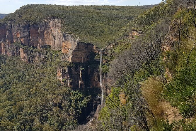 Blue Mountains 1-Hour Trike Tour of Three Sisters - How weather changes the payoff (and how to plan around it)