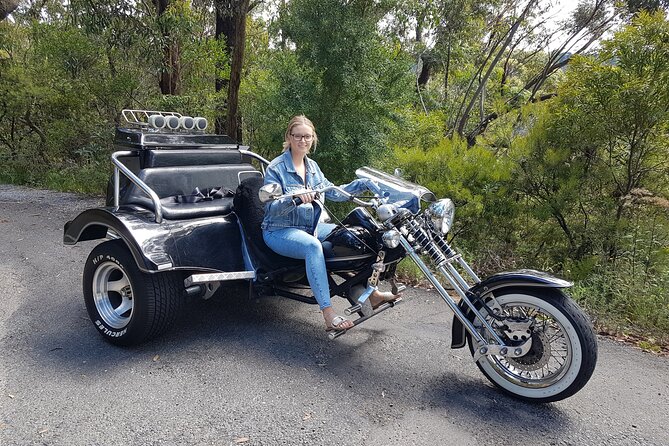 Blue Mountains 1-Hour Trike Tour of Three Sisters - Who this tour is best for