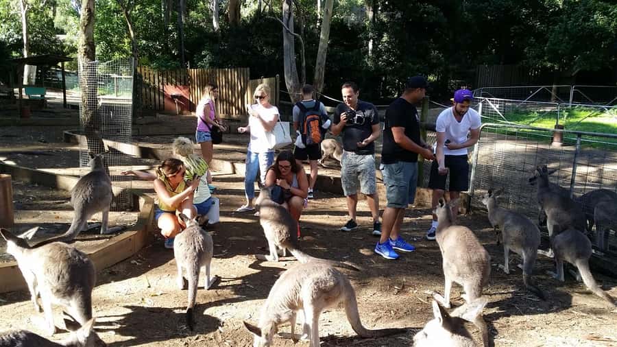 Blue Mountains: Aboriginal Experience Day Tour from Sydney - Key Things That Make This Tour Worth Your Time