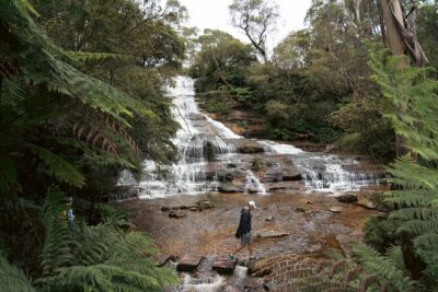 Blue Mountains Adventure w Scenic World, Zoo, Koala Photo & Ferry - Glenbrook Stretch, Then Lookouts That Pay Off