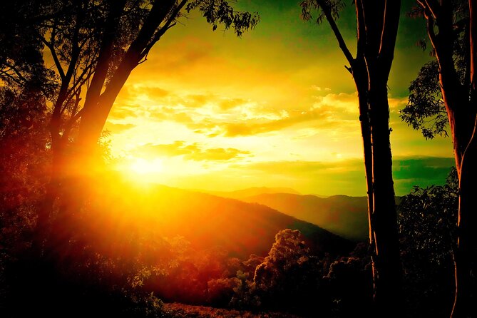 Blue Mountains Day, Sunset Tour & Glow Worms Night Adventure - Key highlights to look for
