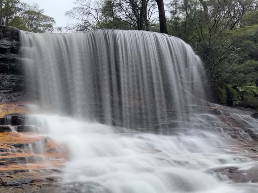 Blue Mountains day tour with Cruise, Scenic world pass & Zoo - Key highlights to know before you go