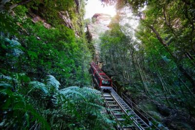 Blue Mountains day tour with Cruise, Scenic world pass & Zoo - Pickup across Sydney, then a Zoo stop before the public arrives