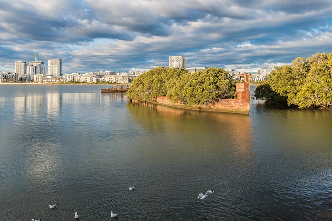 Blue Mountains Day Tour with Scenic World and Wildlife Park Entry - Optional Parramatta River cruise: a slower return that can beat traffic