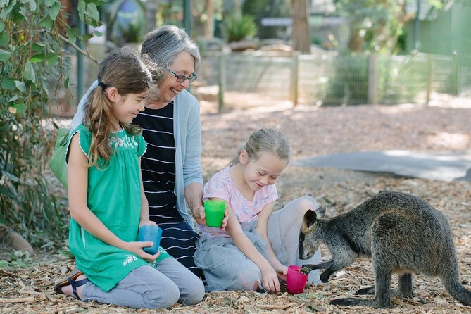 Blue Mountains Day Tour with Scenic World and Wildlife Park Entry - The guides and group size: why it affects your comfort