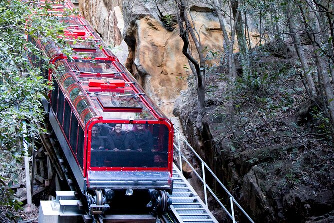 Blue Mountains Day Tour with Wildlife, Walks and Scenic World - A small-group Blue Mountains day works from Sydney