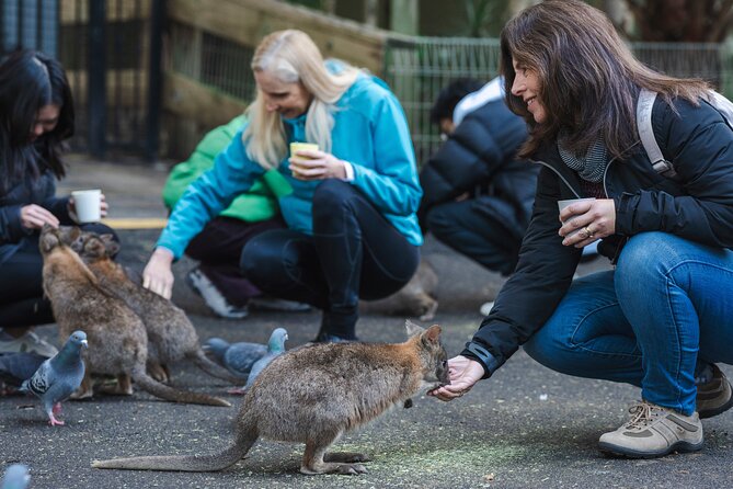 Blue Mountains Day Tour with Wildlife, Walks and Scenic World - Three Sisters: learning the story behind the rocks