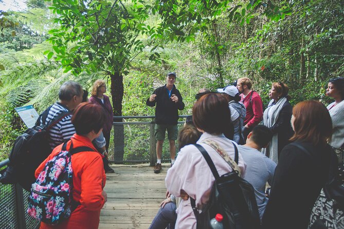 Blue Mountains Day Tour with Wildlife, Walks and Scenic World - Wentworth Falls and Valley of Waters: where the walking earns the views