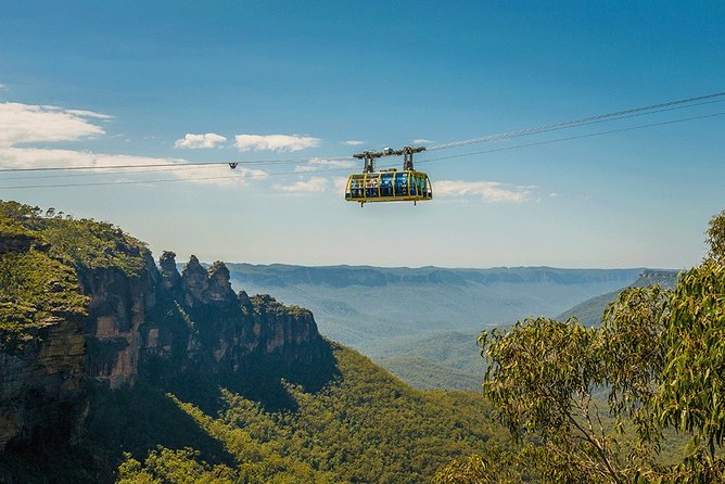 Blue Mountains Highlights, Wildlife Park and Scenic World Full Day Private Tour - Key highlights worth your attention