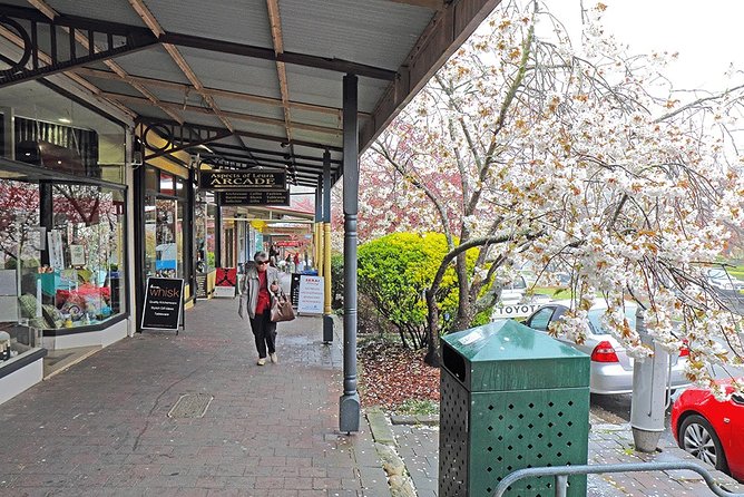 Blue Mountains Highlights, Wildlife Park and Scenic World Full Day Private Tour - Echo Point and the Three Sisters: views plus Dreamtime stories