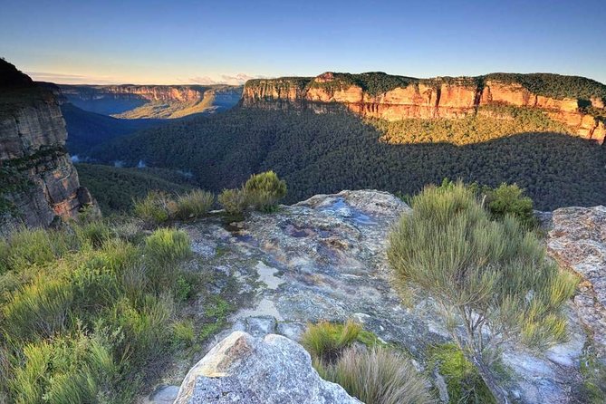 Blue Mountains Highlights, Wildlife Park and Scenic World Full Day Private Tour - Blue Mountains National Park walk: where the day becomes active