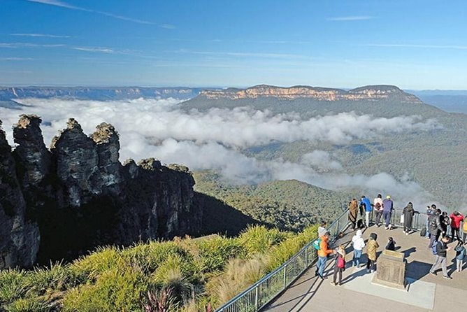 Blue Mountains | Koalas, Kangaroos & Bondi Beach Private Tour - Key highlights I’d pay attention to