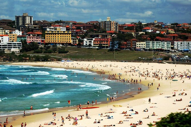 Blue Mountains | Koalas, Kangaroos & Bondi Beach Private Tour - Katoomba’s Three Sisters and Echo Point: what to focus on