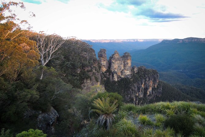 Blue Mountains Private Charter - A private Blue Mountains day that doesn’t feel like a compromise