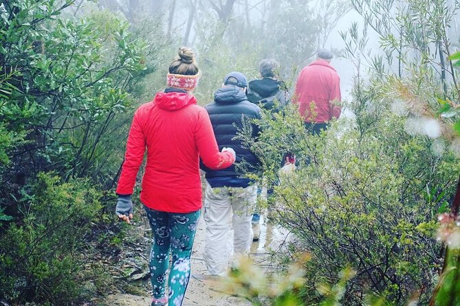 Blue Mountains Private Hiking Tour from Sydney - Private guide tailoring: why Scott, Dave, and Charlie matter