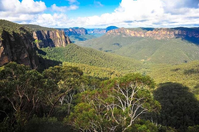 Blue Mountains Private Hiking Tour from Sydney - Price and value: what you get for a group up to 6