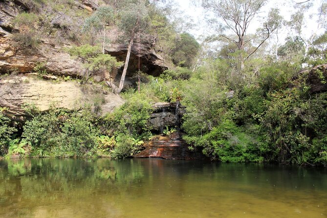 Blue Mountains Private Tour - Price and value: what $416 covers and what doesn’t