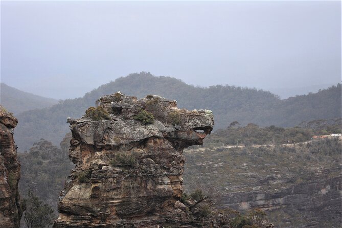 Blue Mountains Private Tour - Govetts Leap and the lookout circuit: cliffs up close