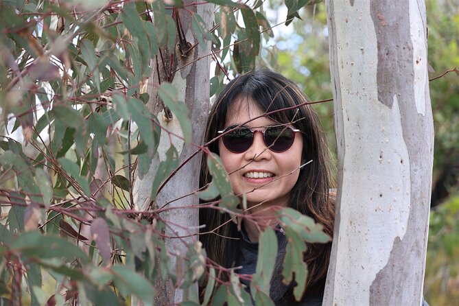 Blue Mountains Private Tour - Leura as a base for flexible bushwalk choices