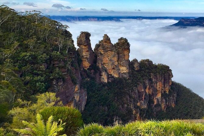 Blue Mountains Private Tour from Sydney - Key highlights you’ll care about
