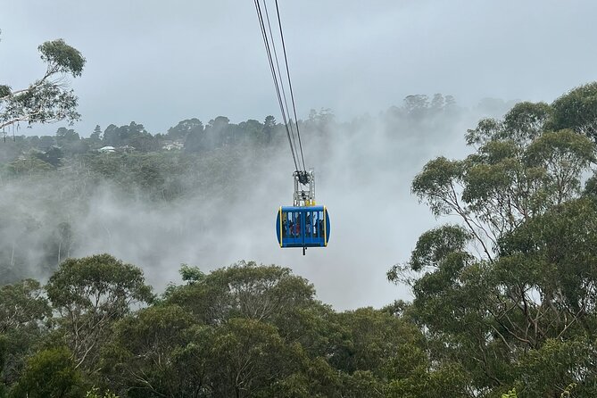 Blue Mountains Private Tour & Scenic World Included - Key points worth knowing